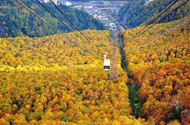 NGÀY 3: (08.10) ASAHIKAWA - SAPPORO                               (ĂN SÁNG/TRƯA/TỐI)