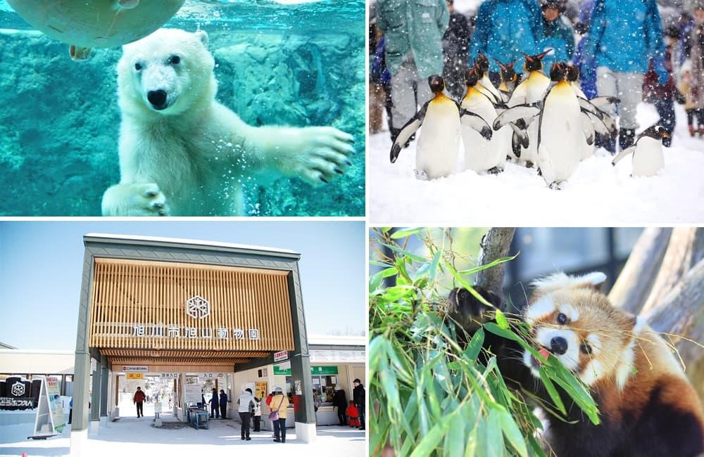 NGÀY 2 (07.10): HANEDA – ASAHIKAWA                                                                     (ĂN SÁNG NHẸ TRÊN MÁY BAY/TRƯA/TỐI)